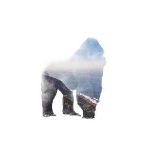 Meet your Posher, Cardin